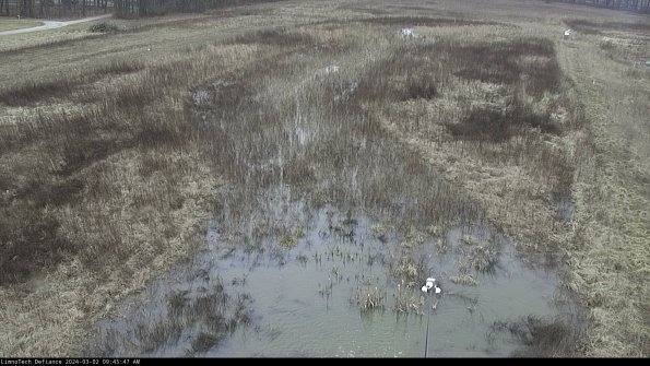 Cell 1_24-03-02_09-45-48-31