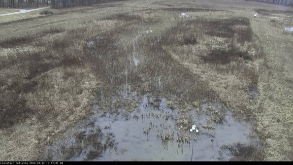 Cell 1_24-03-02_10-52-48-31