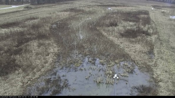 Cell 1_24-03-02_11-26-17-29