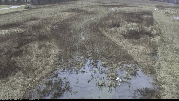 Cell 1_24-03-02_11-59-46-31