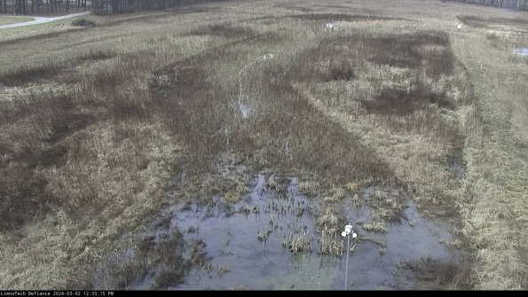 Cell 1_24-03-02_12-33-16-30