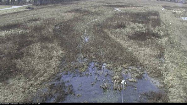 Cell 1_24-03-02_13-06-44-31