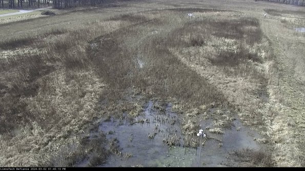 Cell 1_24-03-02_13-40-14-30