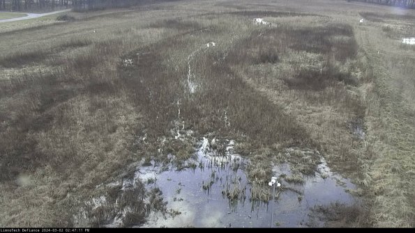 Cell 1_24-03-02_14-47-12-30