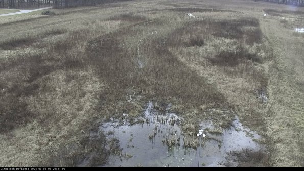 Cell 1_24-03-02_15-20-42-29