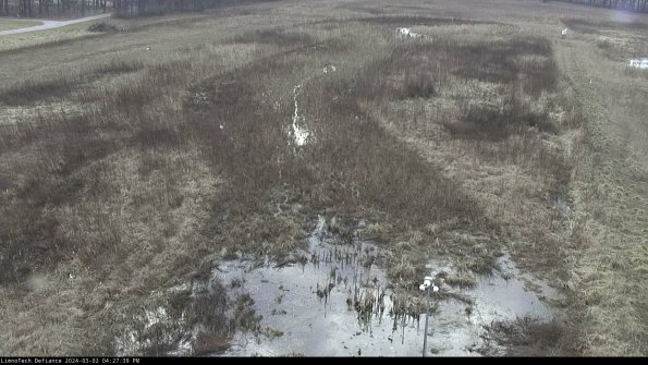 Cell 1_24-03-02_16-27-40-29