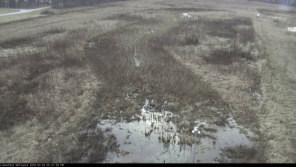 Cell 1_24-03-02_17-01-10-31