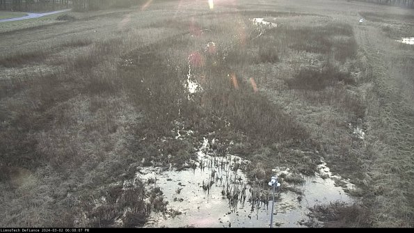 Cell 1_24-03-02_18-08-08-31