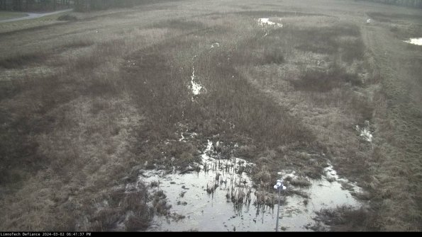 Cell 1_24-03-02_18-41-38-33