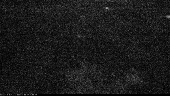 Cell 1_24-03-02_19-15-07-31