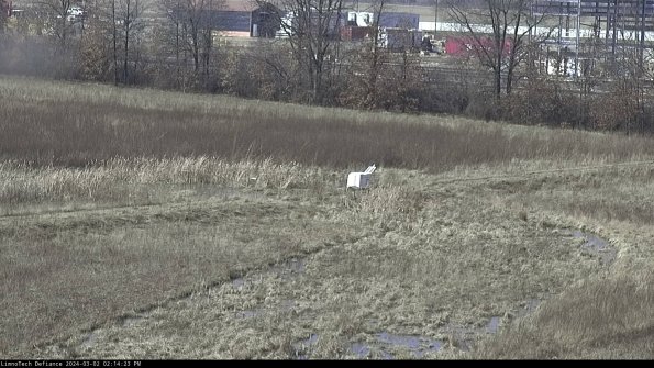 Cell 2 to 3_24-03-02_14-14-24-33