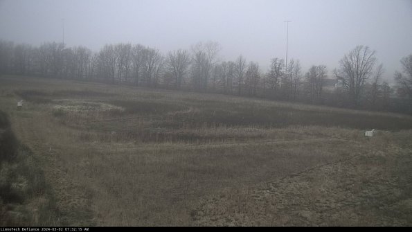 Cell 2_24-03-02_07-32-16-31