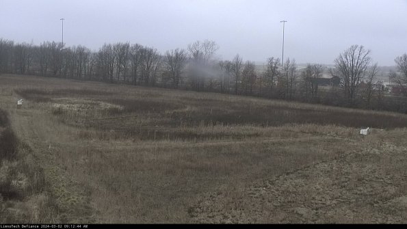 Cell 2_24-03-02_09-12-45-38