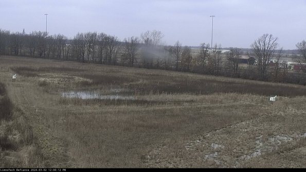 Cell 2_24-03-02_12-00-13-34