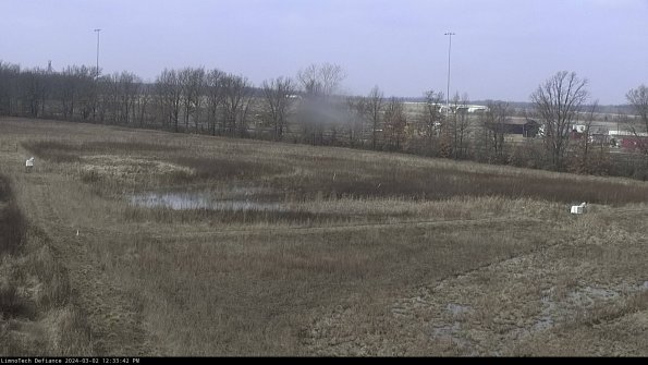 Cell 2_24-03-02_12-33-43-32