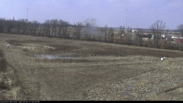 Cell 2_24-03-02_13-40-41-36