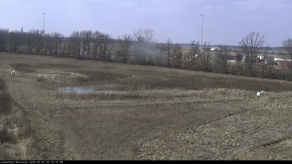 Cell 2_24-03-02_14-14-11-31