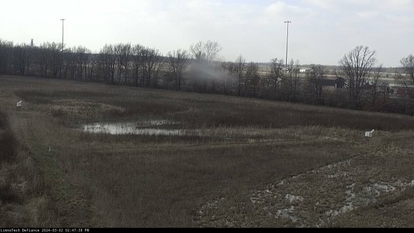 Cell 2_24-03-02_14-47-39-33