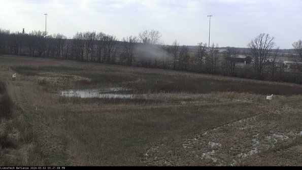 Cell 2_24-03-02_15-21-09-32