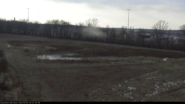 Cell 2_24-03-02_17-01-37-34