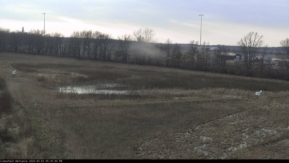 Cell 2_24-03-02_17-35-05-39