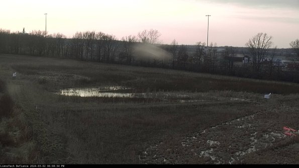 Cell 2_24-03-02_18-08-35-34