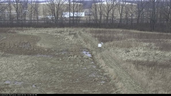 Cell 3 to 4_24-03-02_12-00-55-31