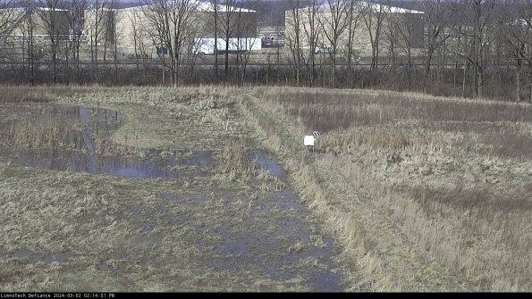 Cell 3 to 4_24-03-02_14-14-52-32