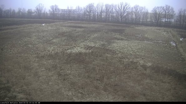 Cell 3_24-03-02_07-32-44-30