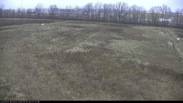 Cell 3_24-03-02_09-13-13-31