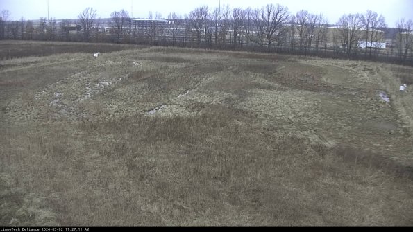 Cell 3_24-03-02_11-27-12-28