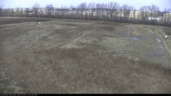 Cell 3_24-03-02_13-07-39-30