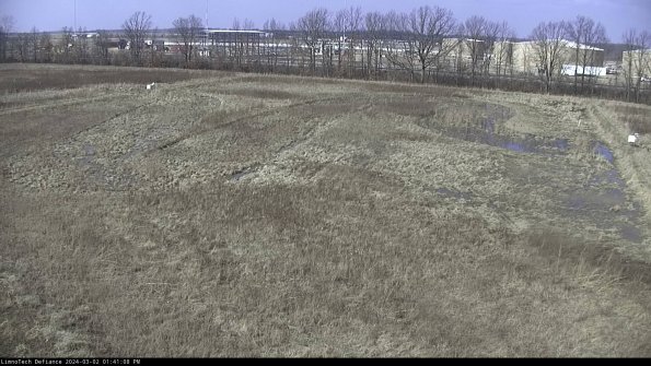 Cell 3_24-03-02_13-41-09-29