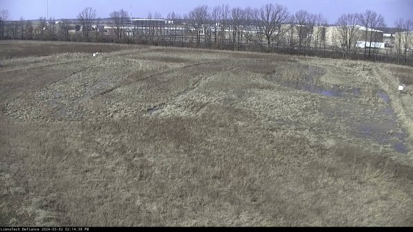 Cell 3_24-03-02_14-14-38-54