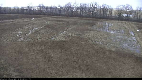 Cell 3_24-03-02_14-48-07-29