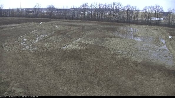 Cell 3_24-03-02_15-21-37-31