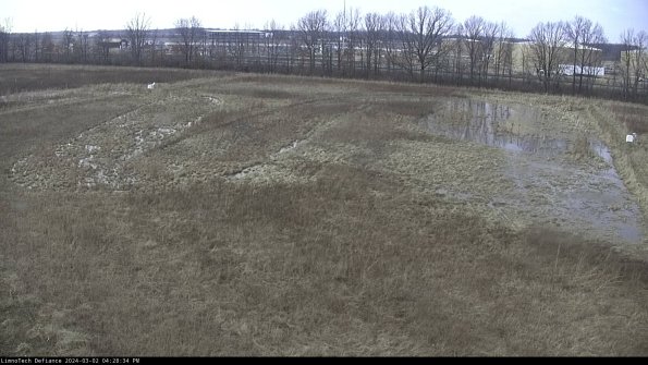 Cell 3_24-03-02_16-28-35-31