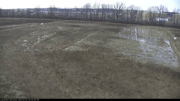 Cell 3_24-03-02_17-02-04-56