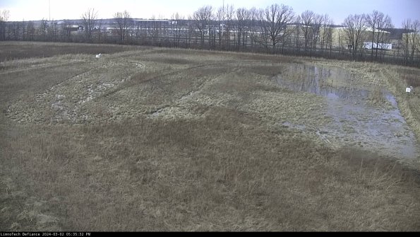 Cell 3_24-03-02_17-35-33-28