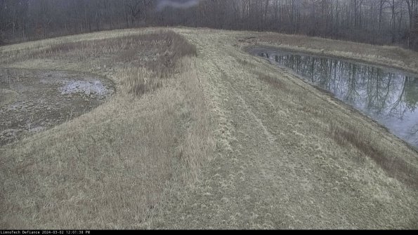 Cell 4 to Basin_24-03-02_12-01-39-29