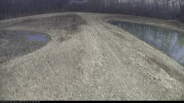 Cell 4 to Basin_24-03-02_13-08-37-33