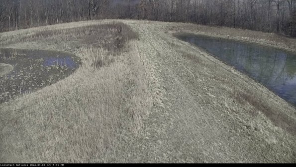 Cell 4 to Basin_24-03-02_14-15-36-30