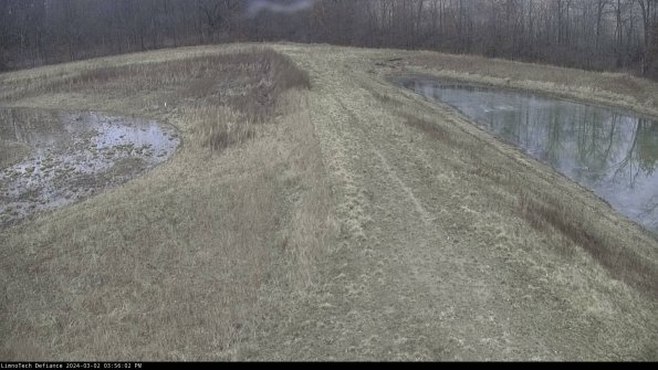 Cell 4 to Basin_24-03-02_15-56-03-29