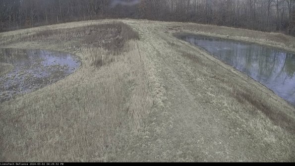 Cell 4 to Basin_24-03-02_16-29-33-30