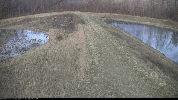 Cell 4 to Basin_24-03-02_18-10-01-32