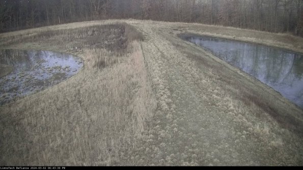 Cell 4 to Basin_24-03-02_18-43-31-31