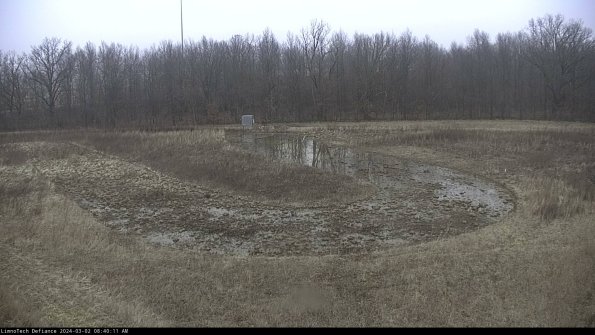 Cell 4_24-03-02_08-40-12-29