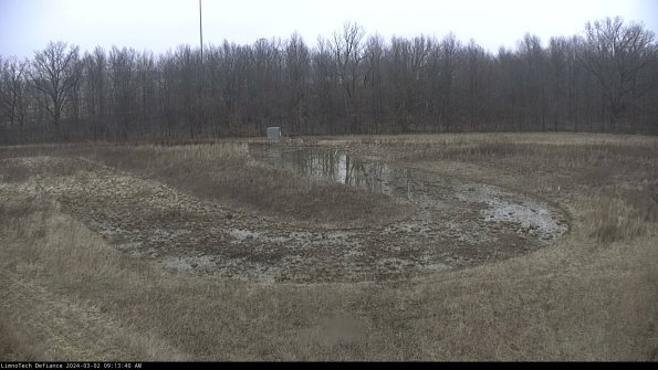 Cell 4_24-03-02_09-13-41-31