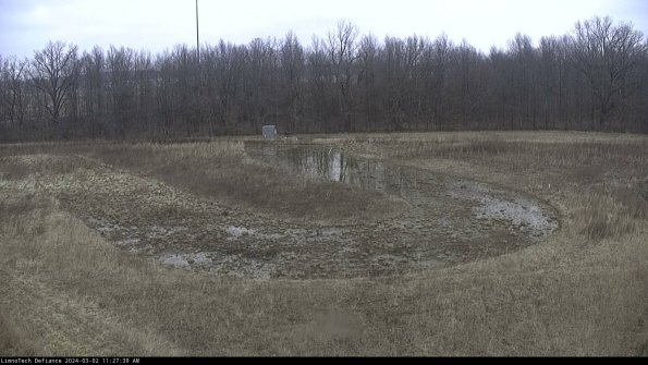 Cell 4_24-03-02_11-27-40-31