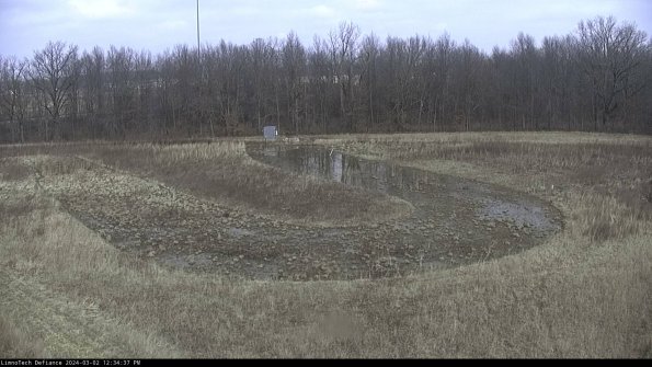 Cell 4_24-03-02_12-34-38-31